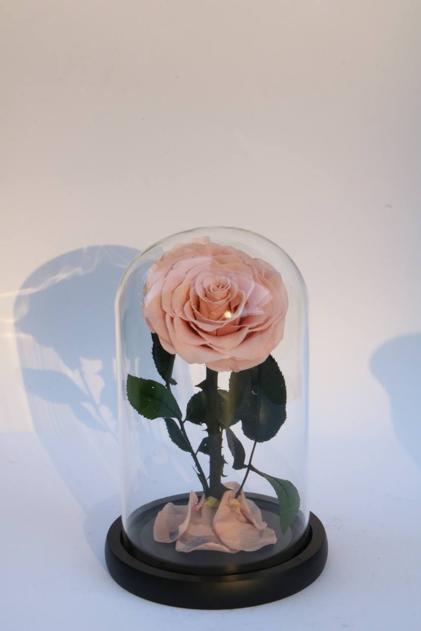 Light pink mini