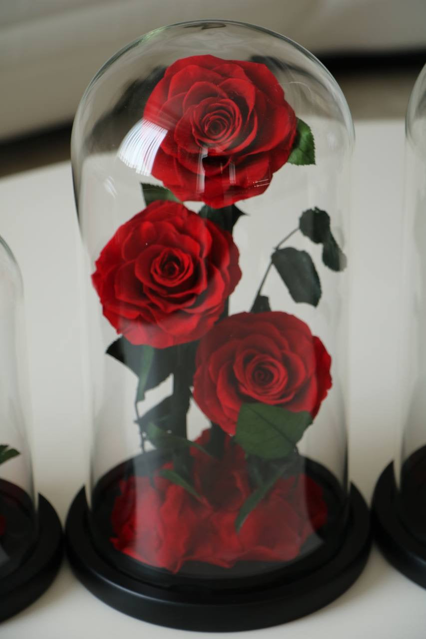 Florever lasting rose triple -Red