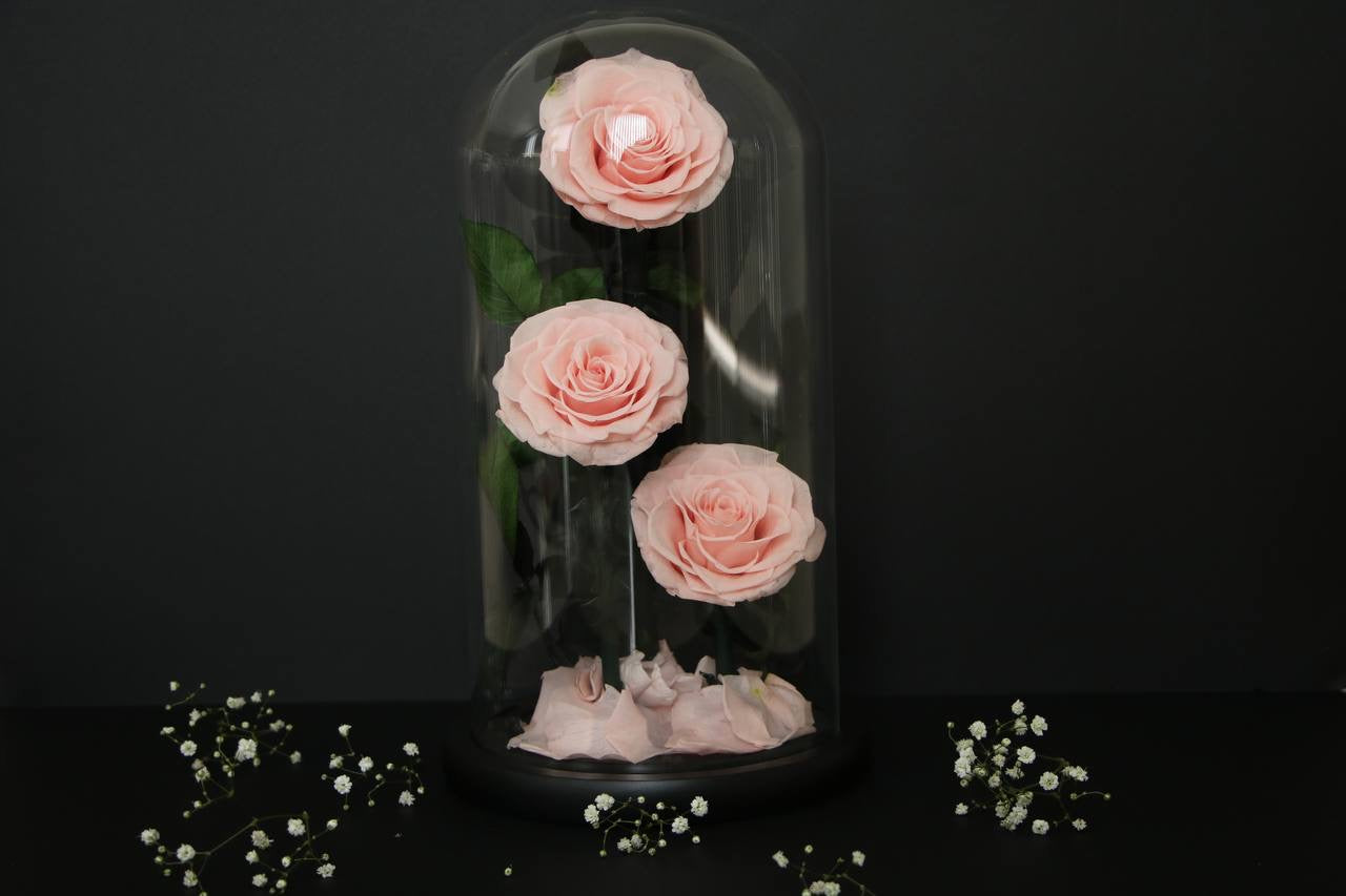 Florever Lasting Rose Triple- Sweet Pink