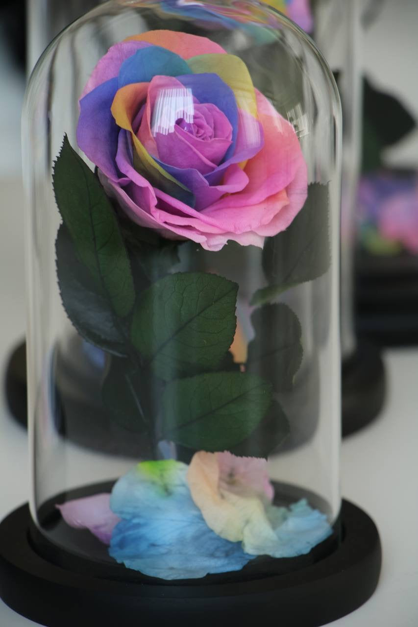 Rainbow flower led