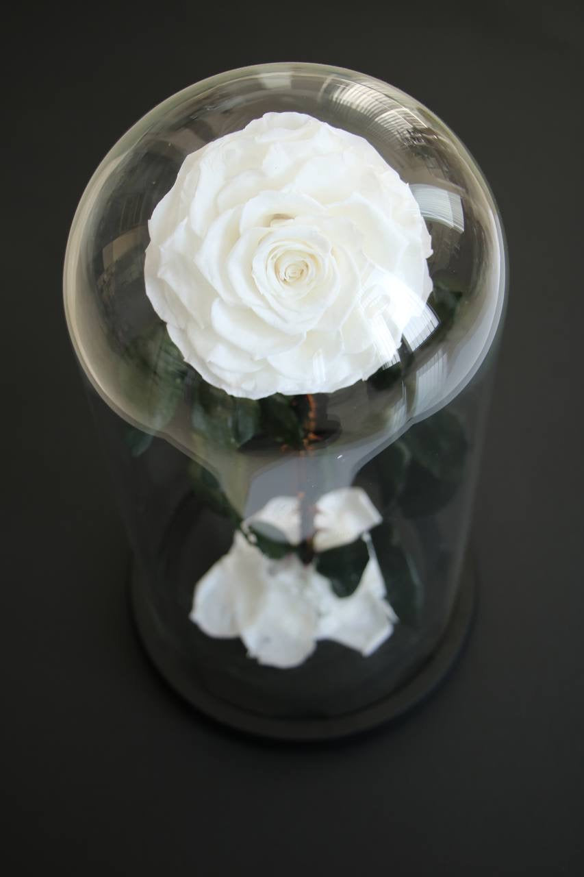 Florever lasting road- White
