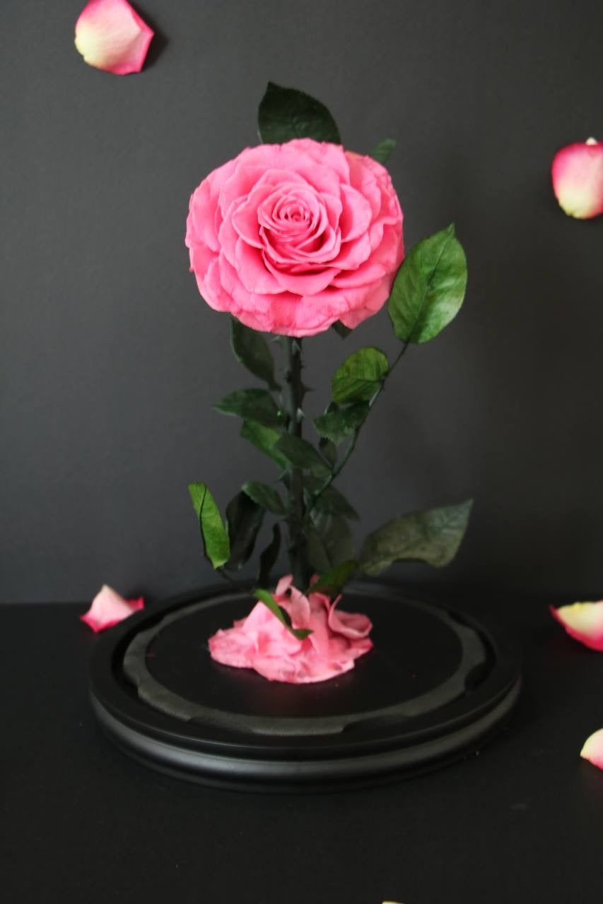 Florever lasting rose - Sweet Pink