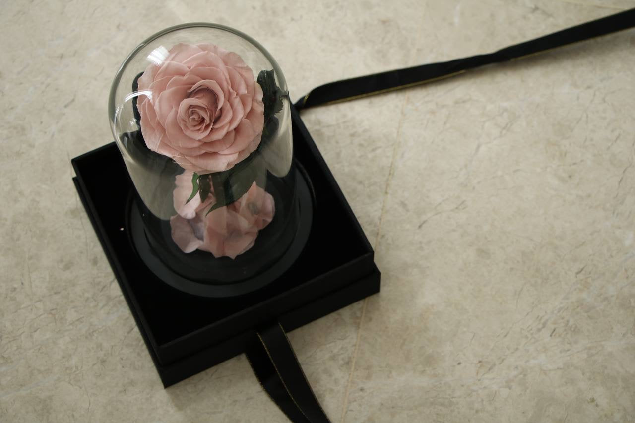 Light pink mini