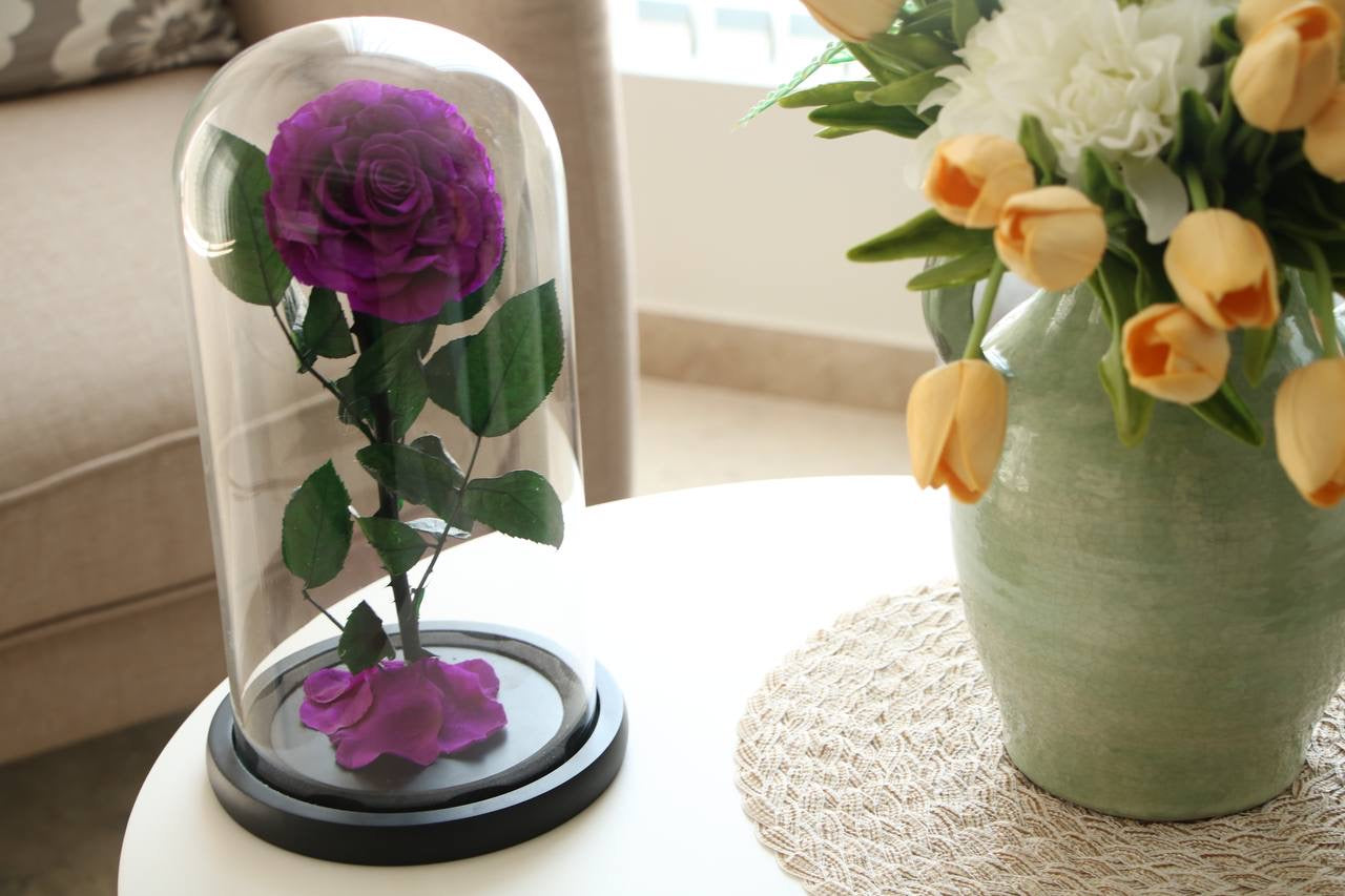 Florever lasting rose- Purple