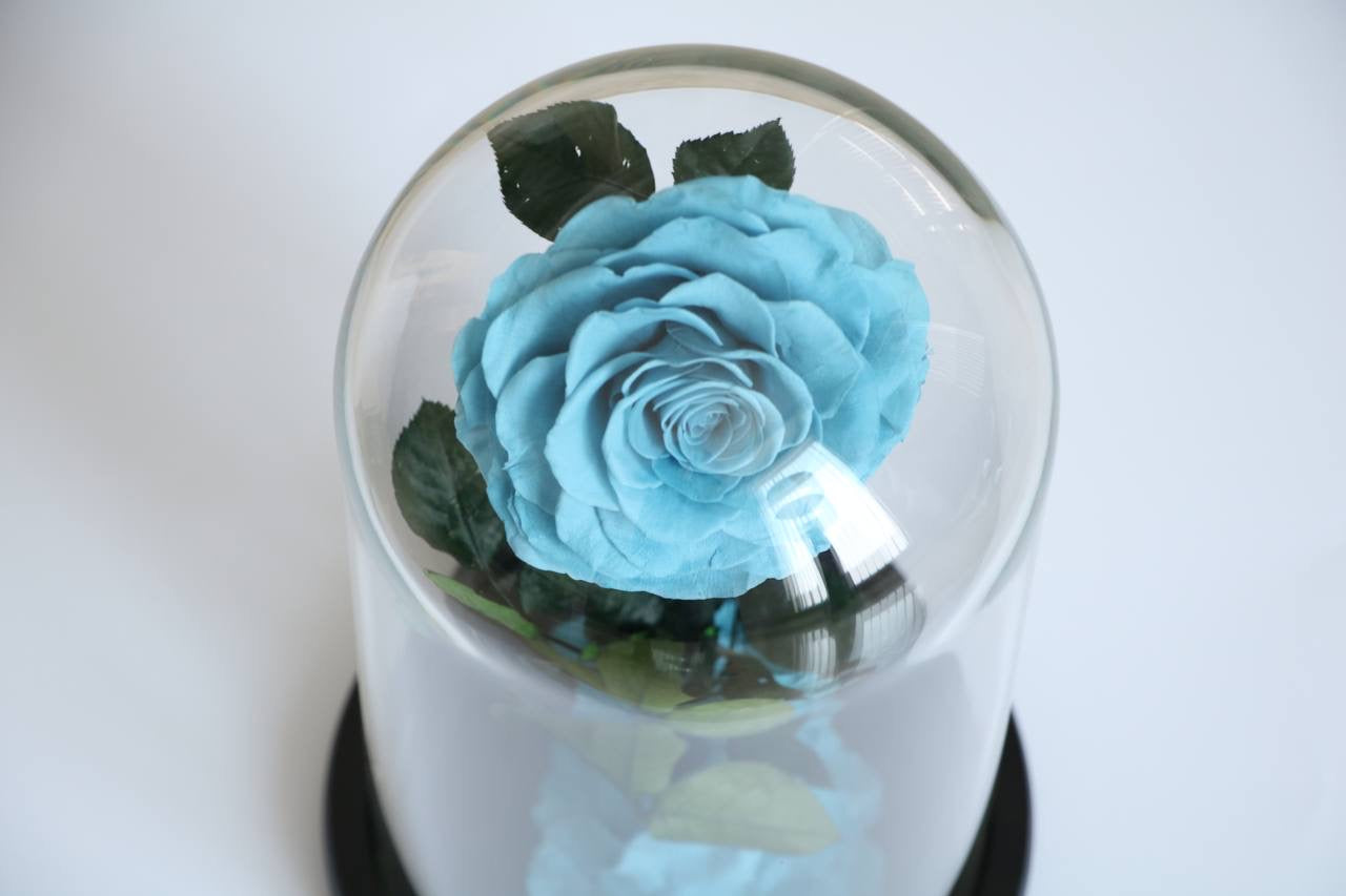 Florever lasting flower dusty blue