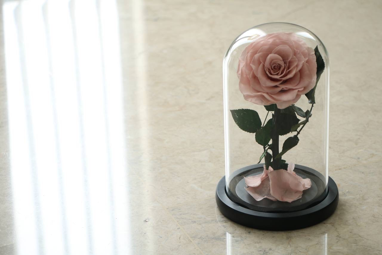 Light pink mini