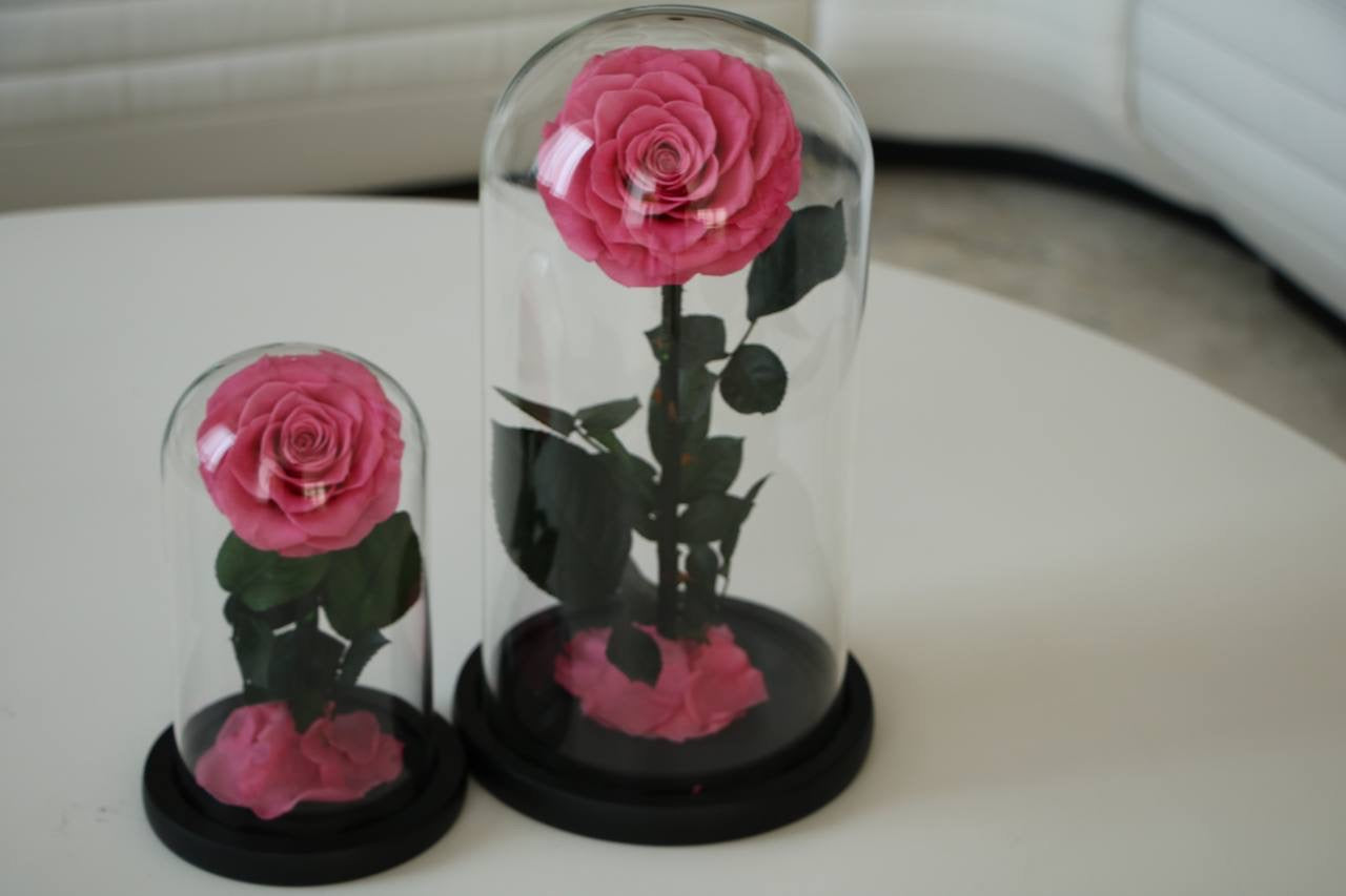 Florever lasting rose - Sweet Pink