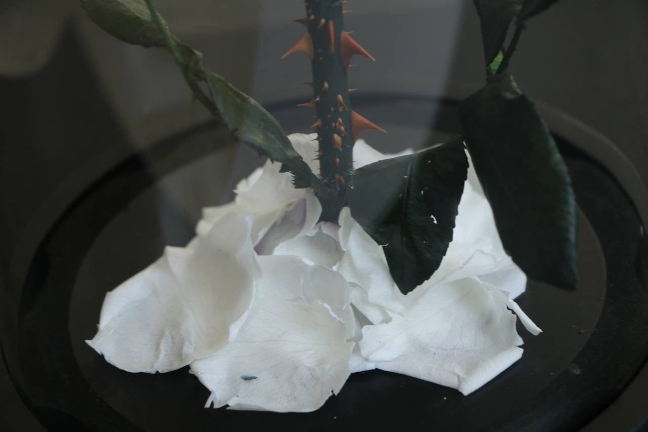 Florever lasting road- White