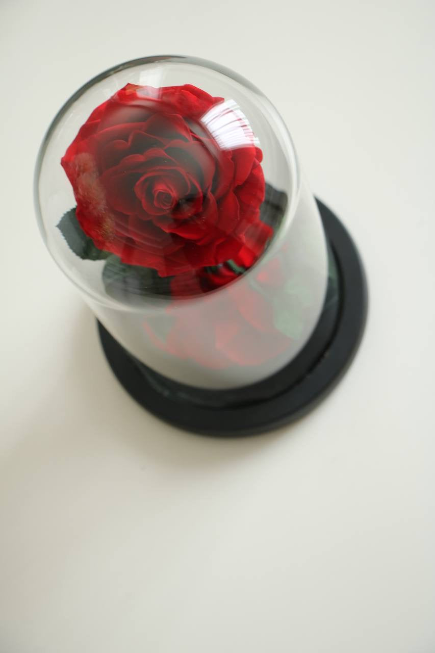 Florever rose Mini - Vermilion red