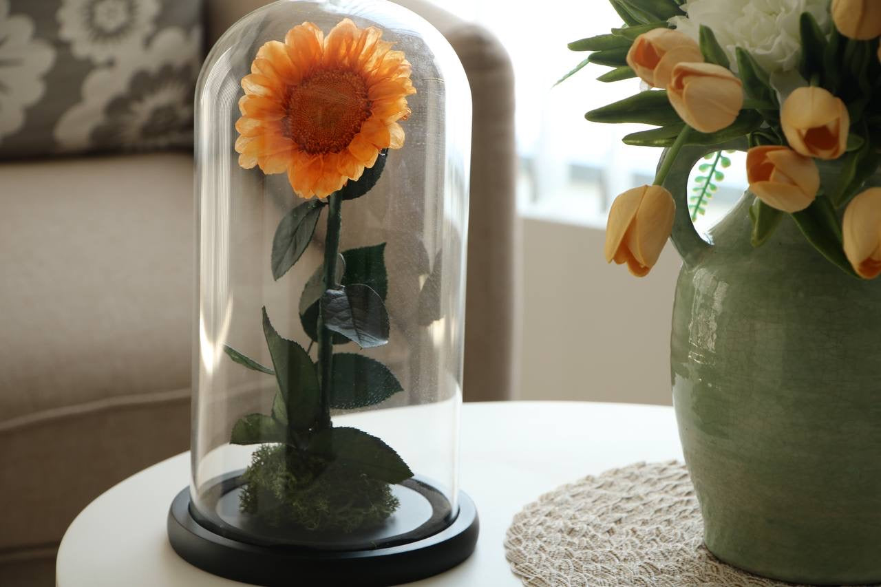 Florever Lasting Sunflower