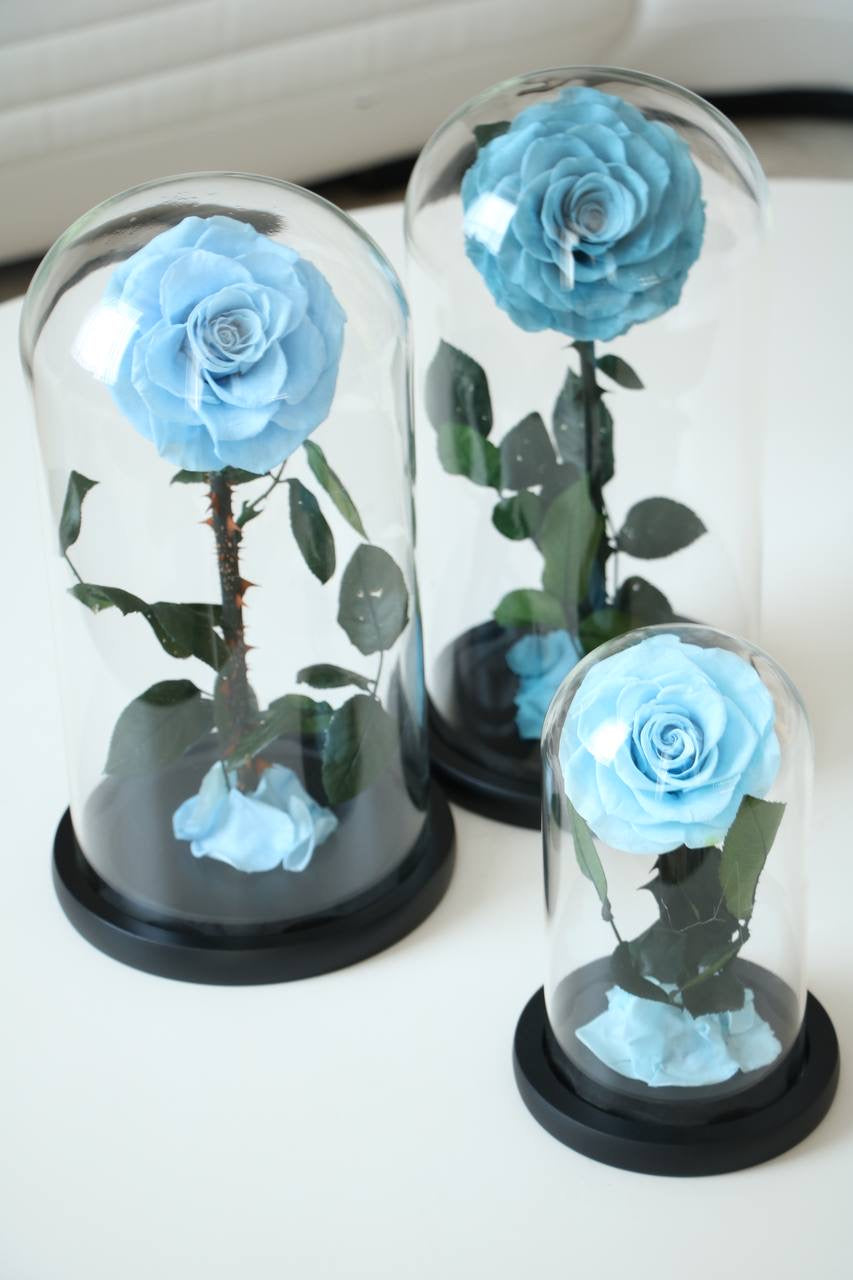 Sky blue mini