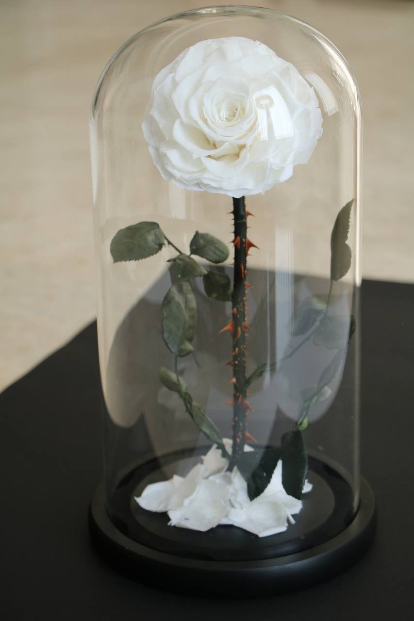 Florever lasting road- White