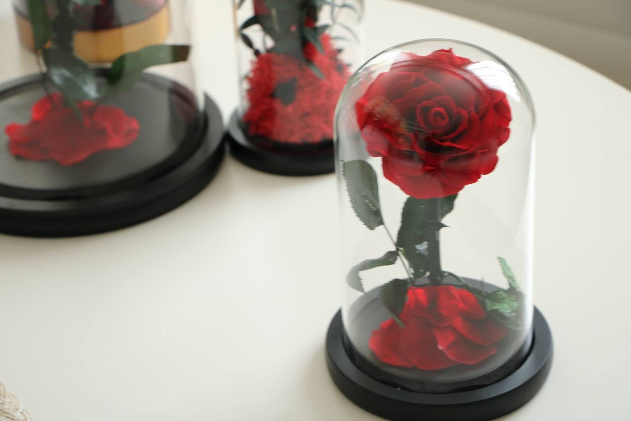 Florever rose Mini - Vermilion red