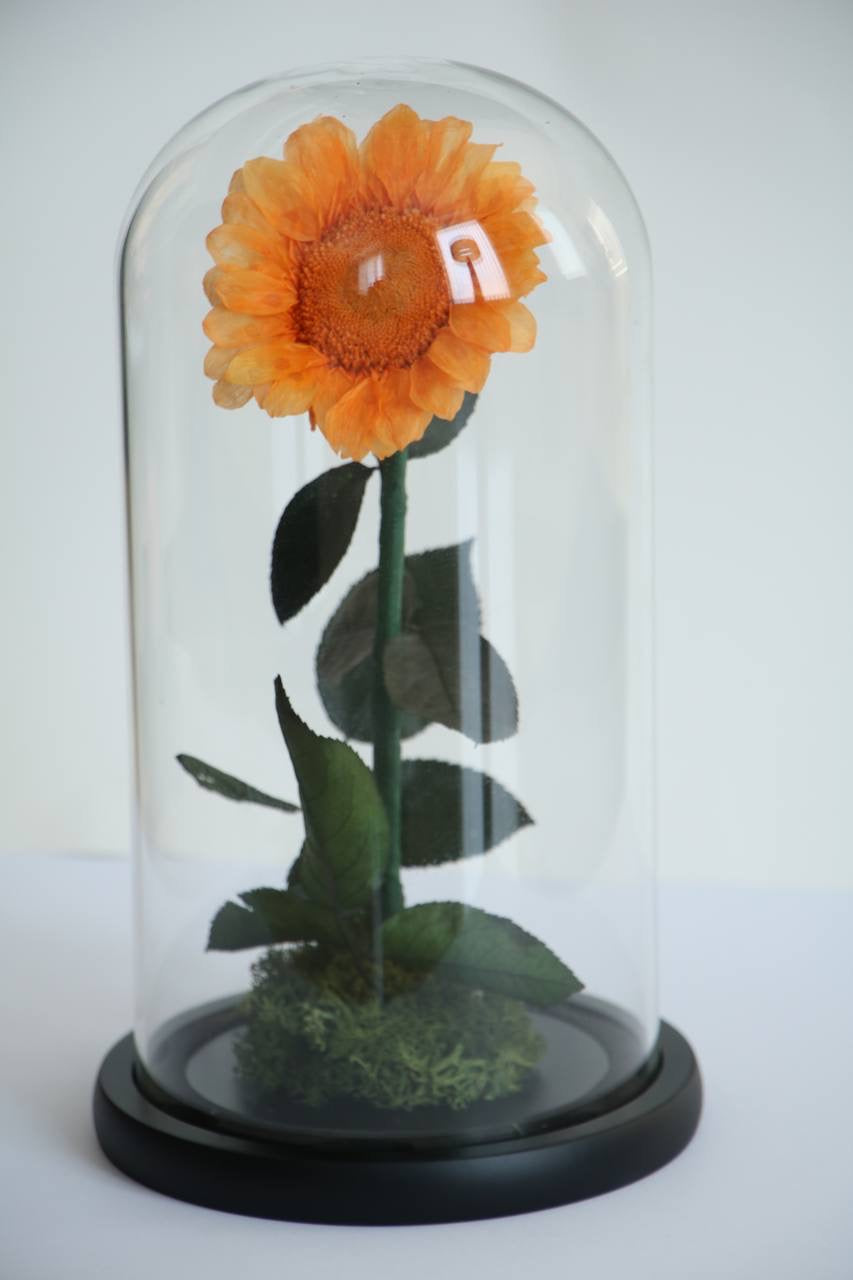 Florever Lasting Sunflower