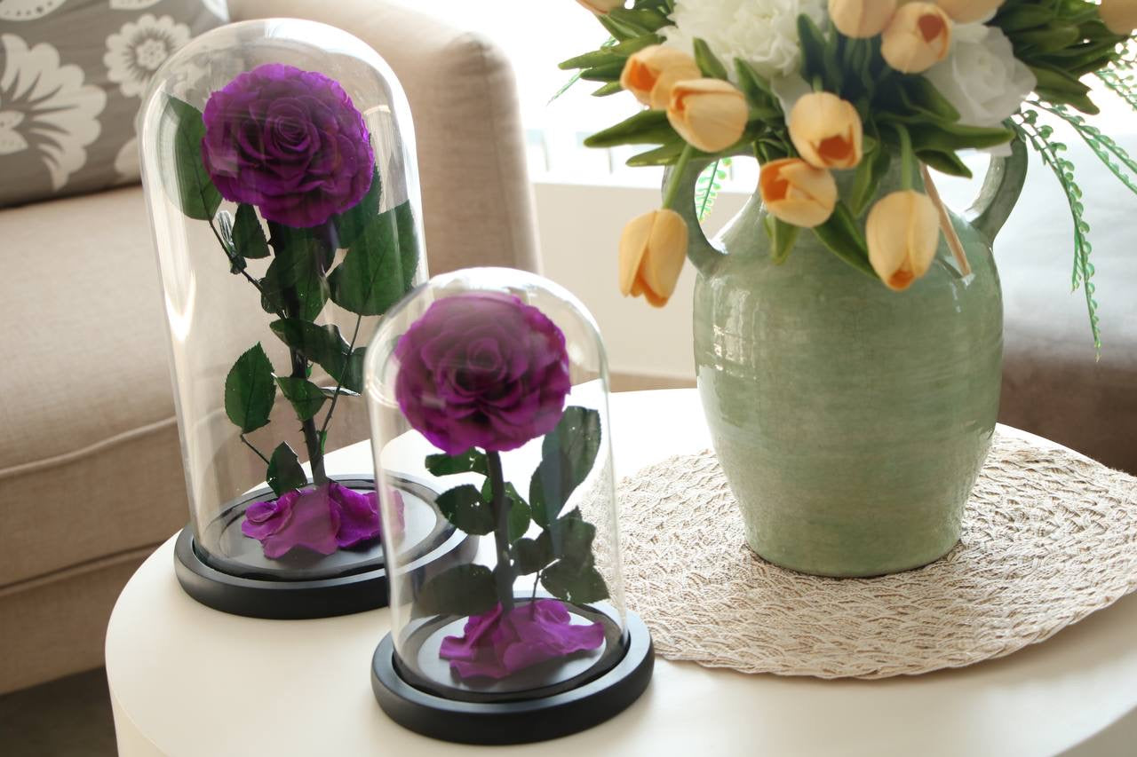 Florever lasting rose- Purple