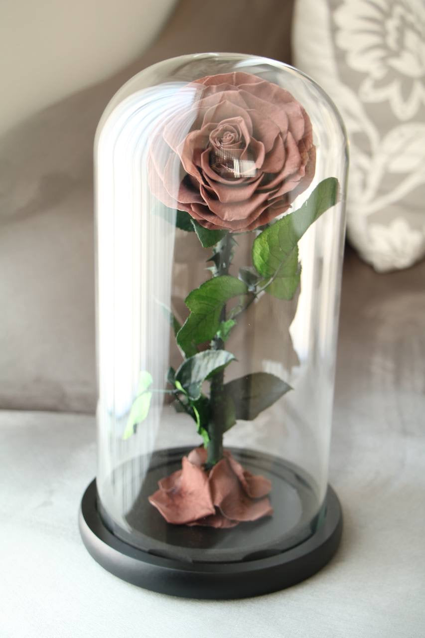 Florever lasting Rose- Smoke