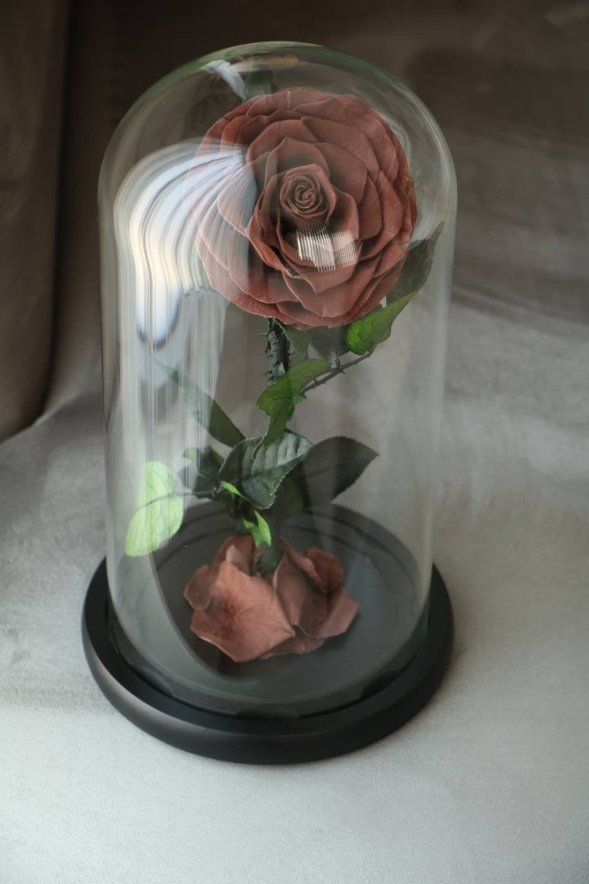 Florever lasting Rose- Smoke