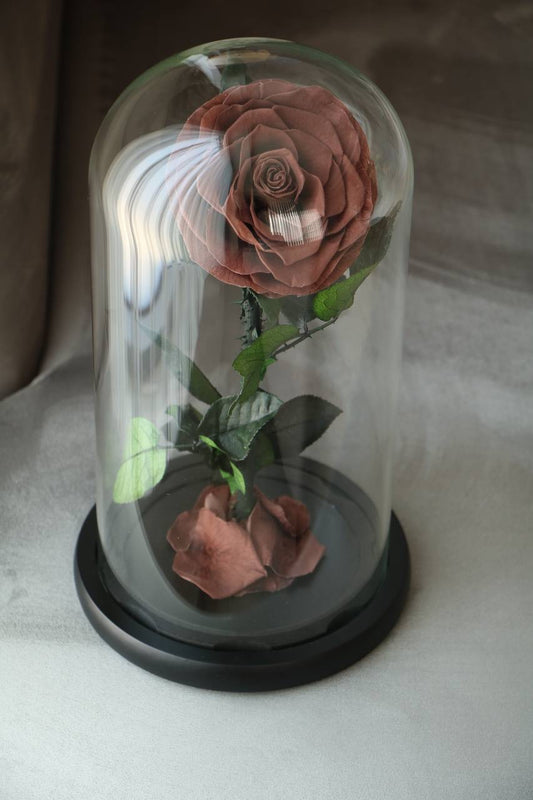 Florever lasting Rose- Smoke