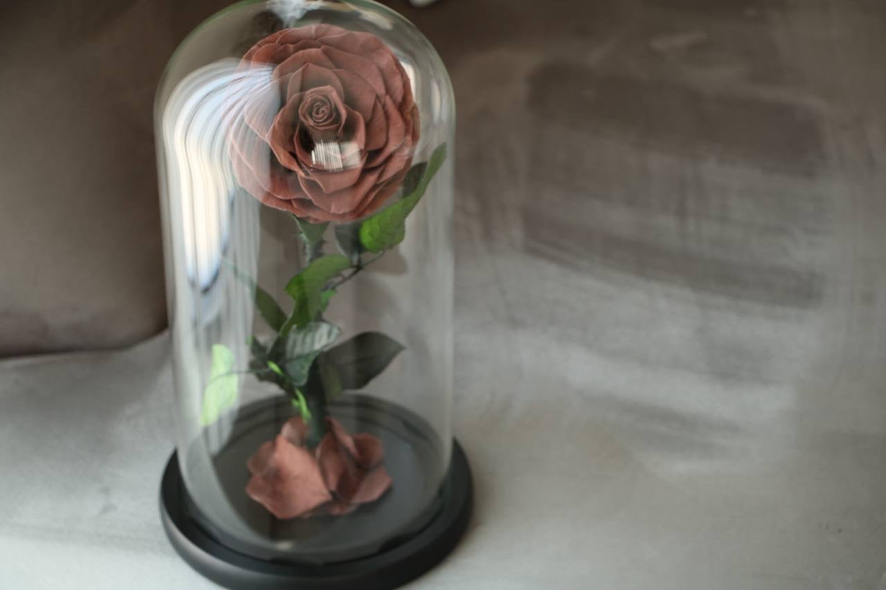Florever lasting Rose- Smoke