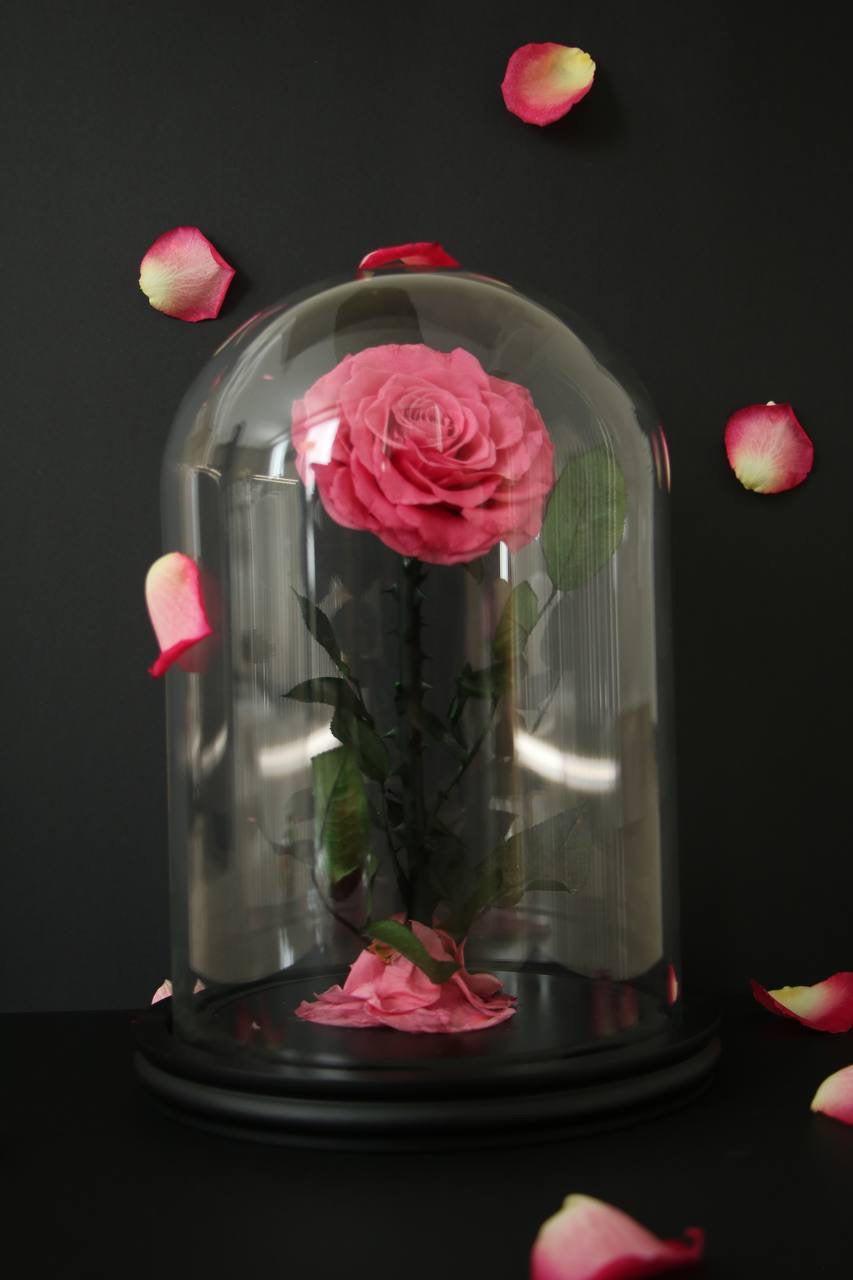 Florever lasting rose - Sweet Pink