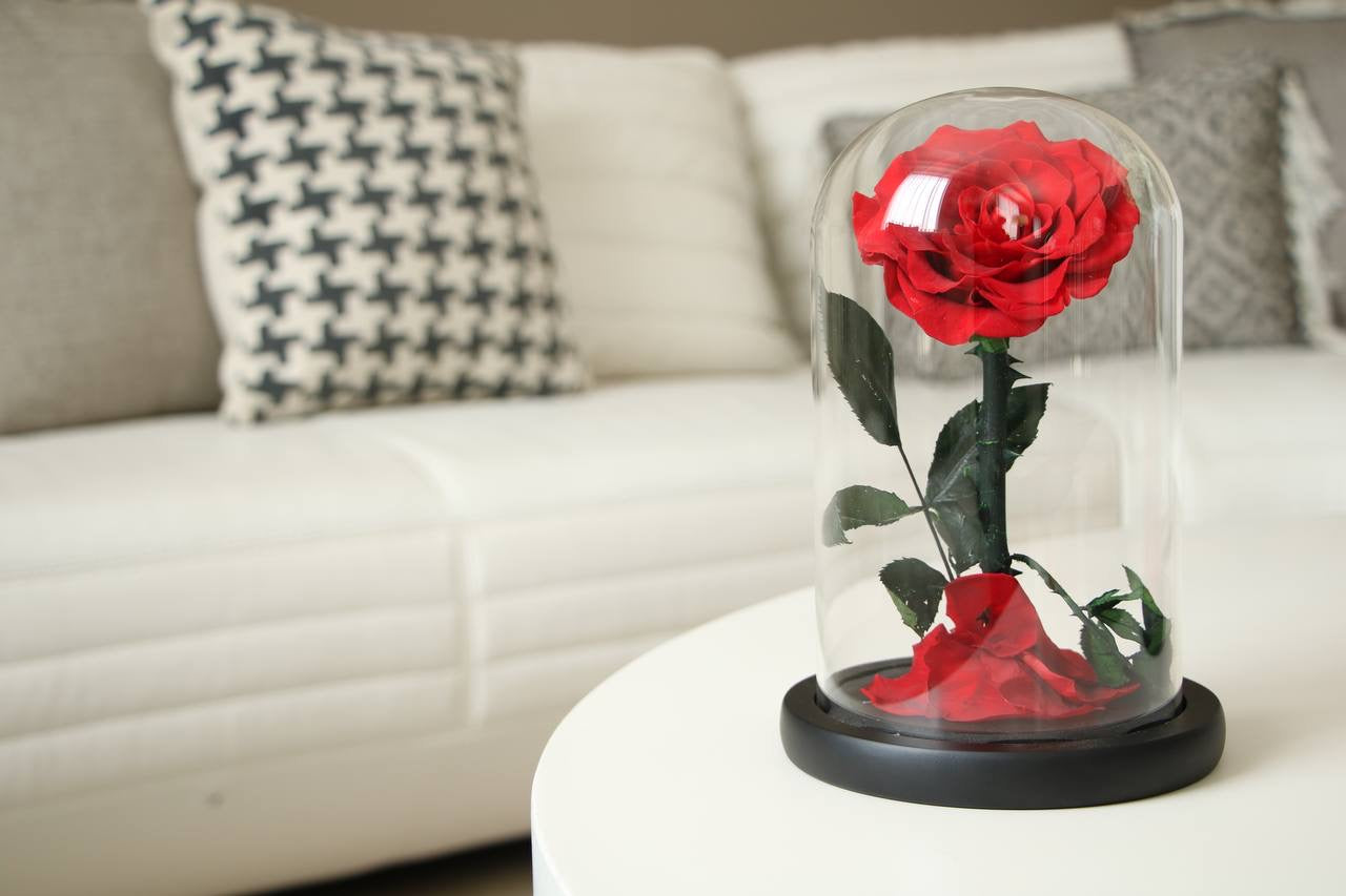 Florever Lasting Rose -Red