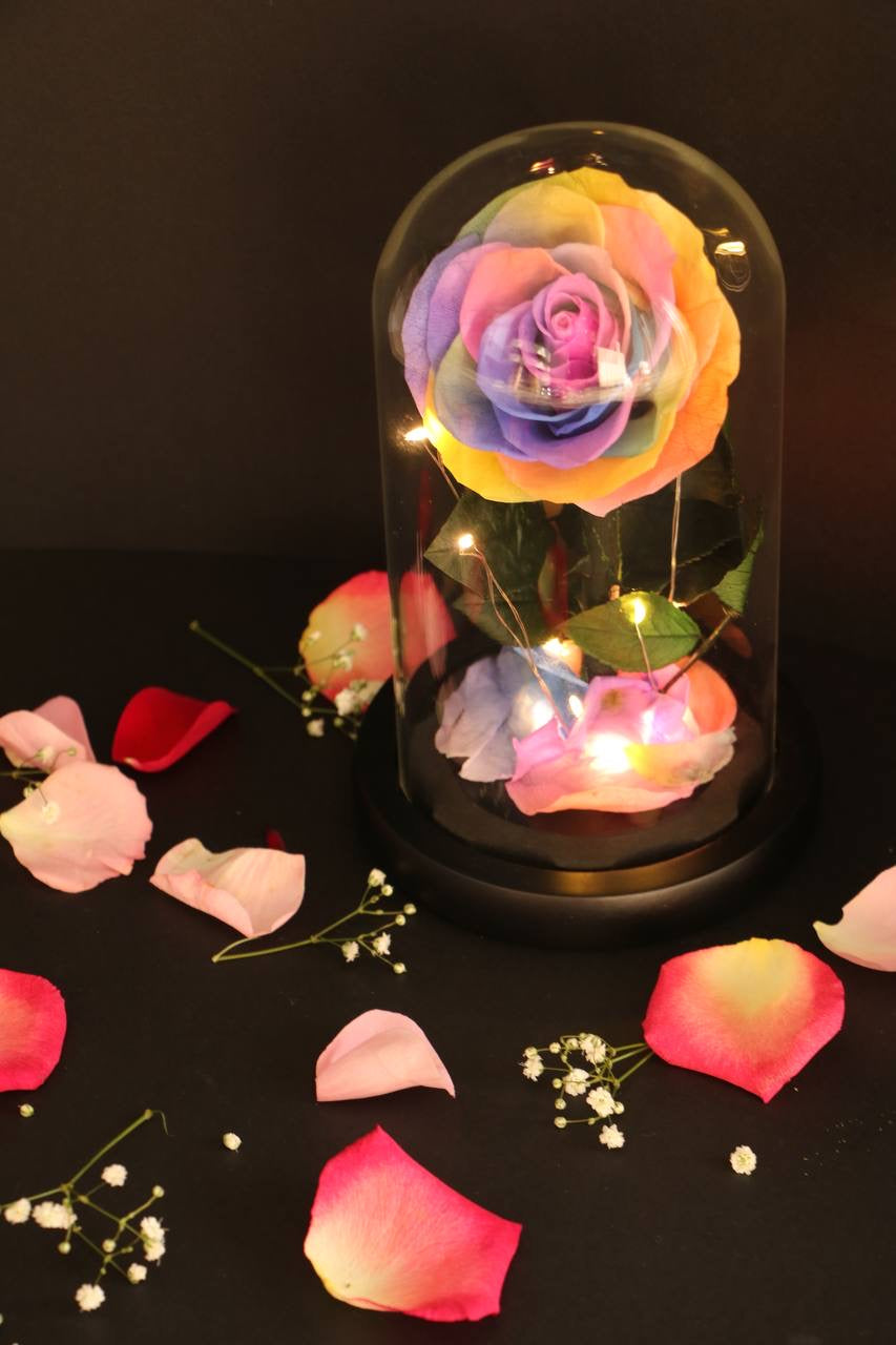 Rainbow flower led