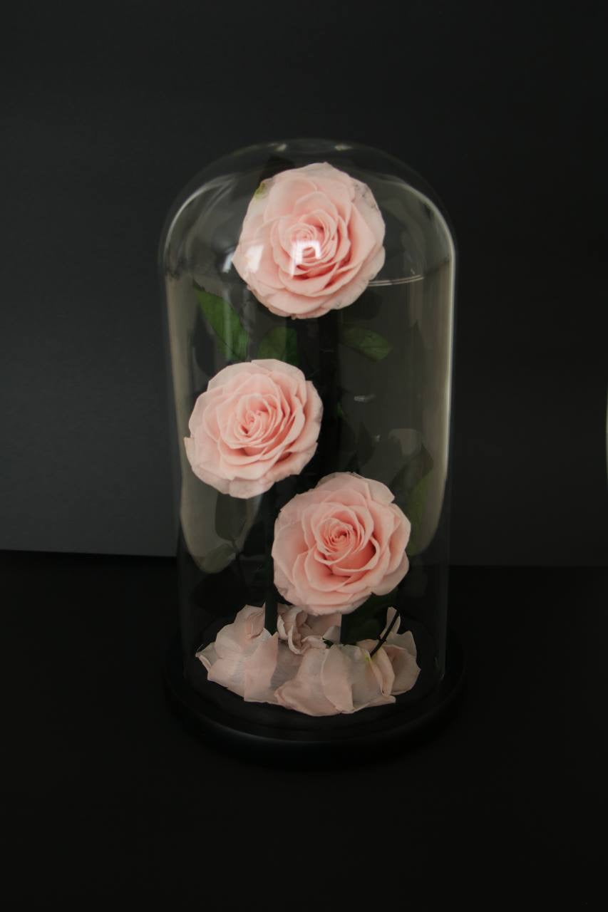 Florever Lasting Rose Triple- Sweet Pink