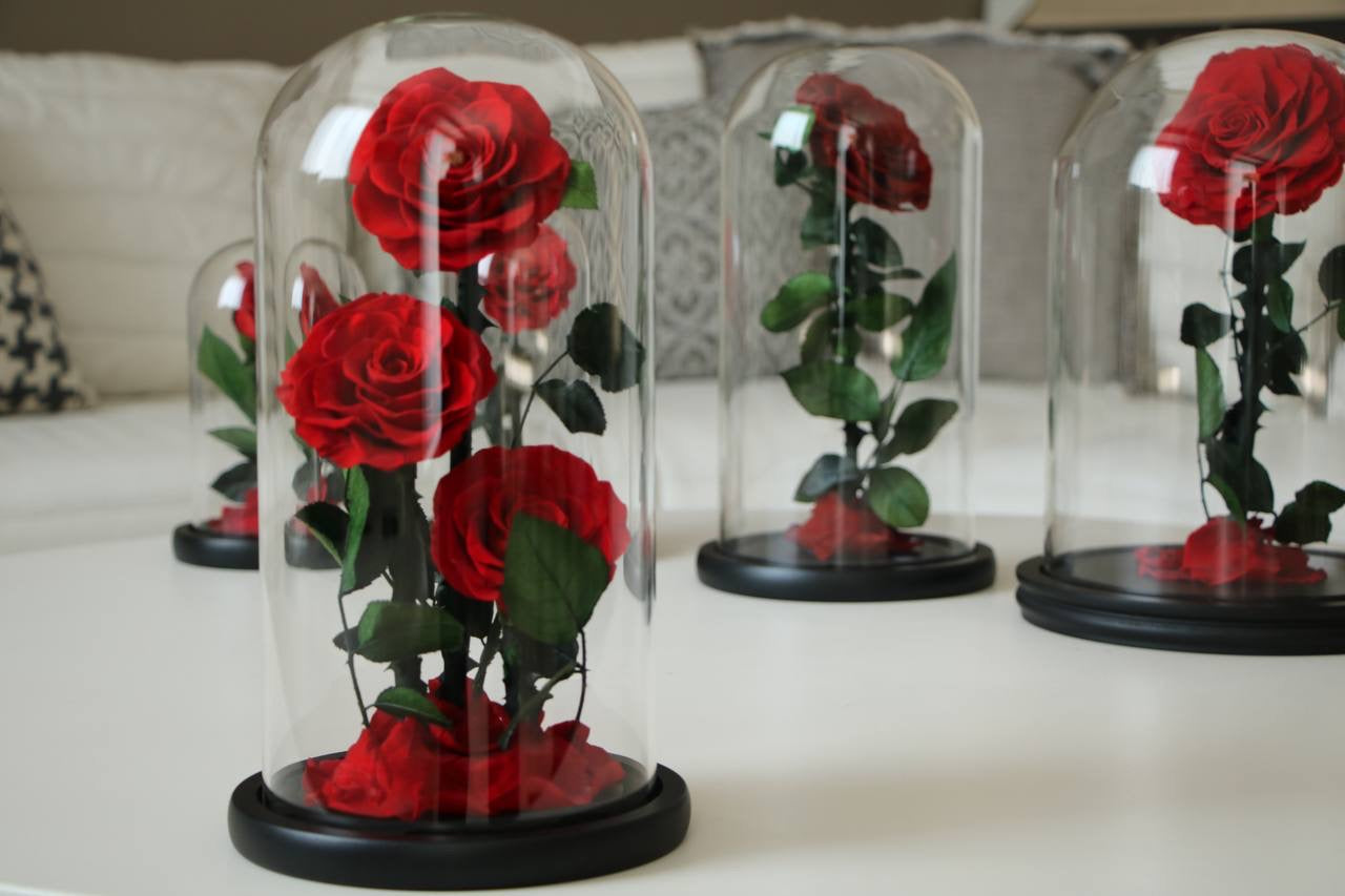 Florever lasting rose triple -Red