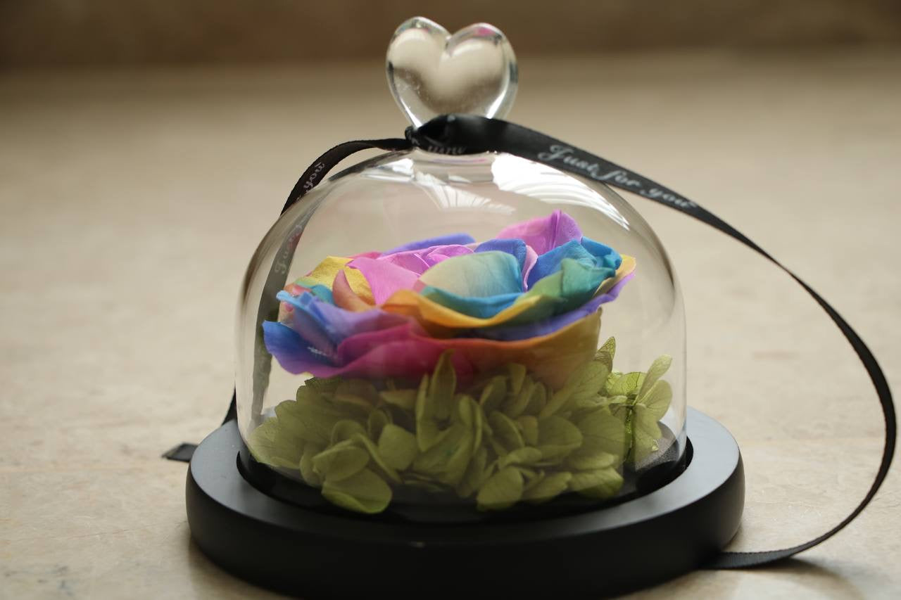 Rainbow Mini flower