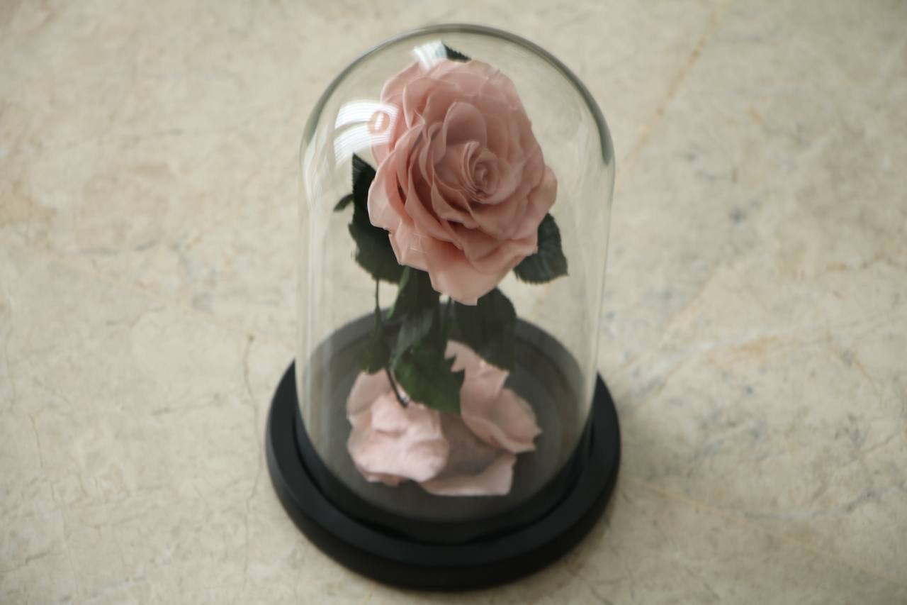 Light pink mini