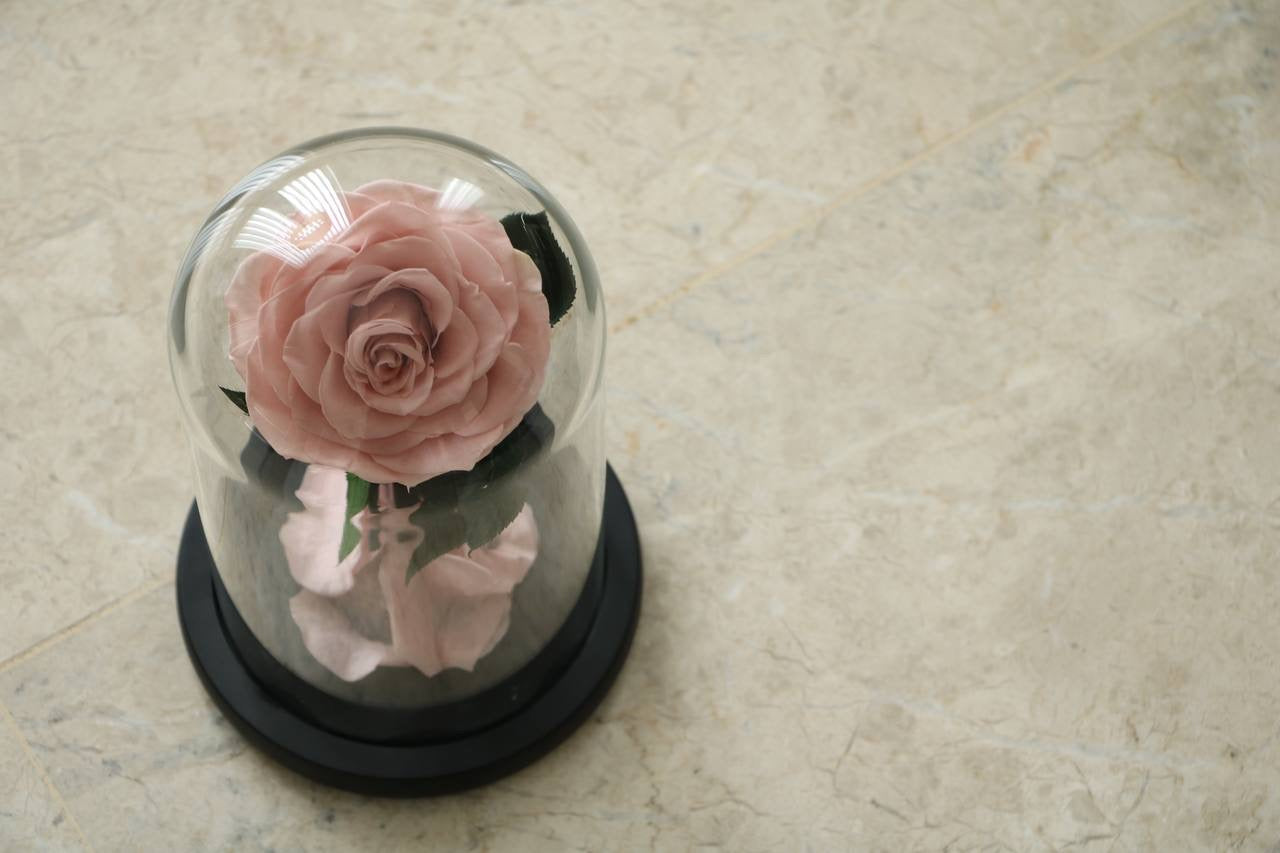Light pink mini