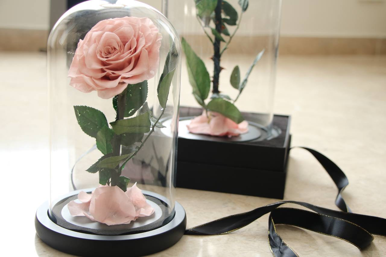 Light pink mini