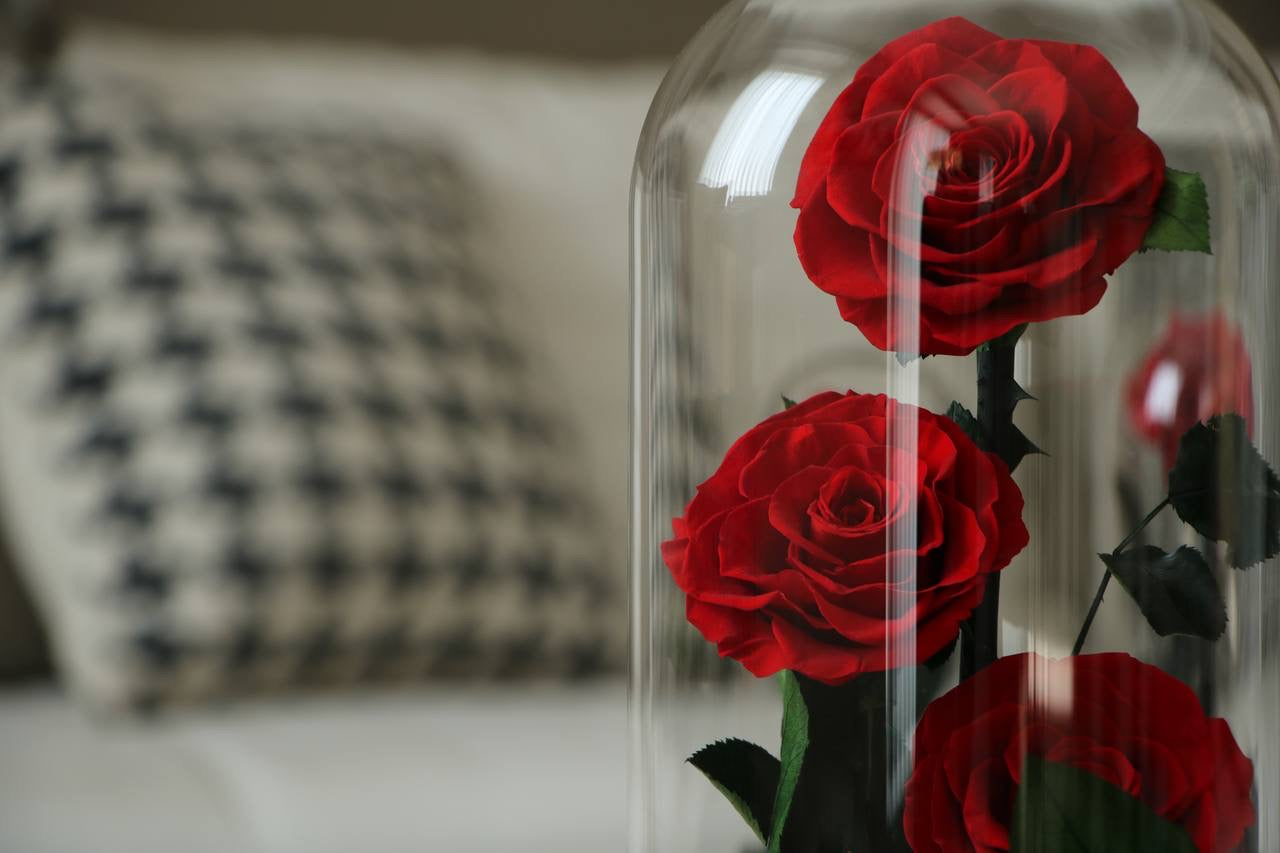 Florever lasting rose triple -Red