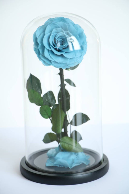 Florever lasting flower dusty blue
