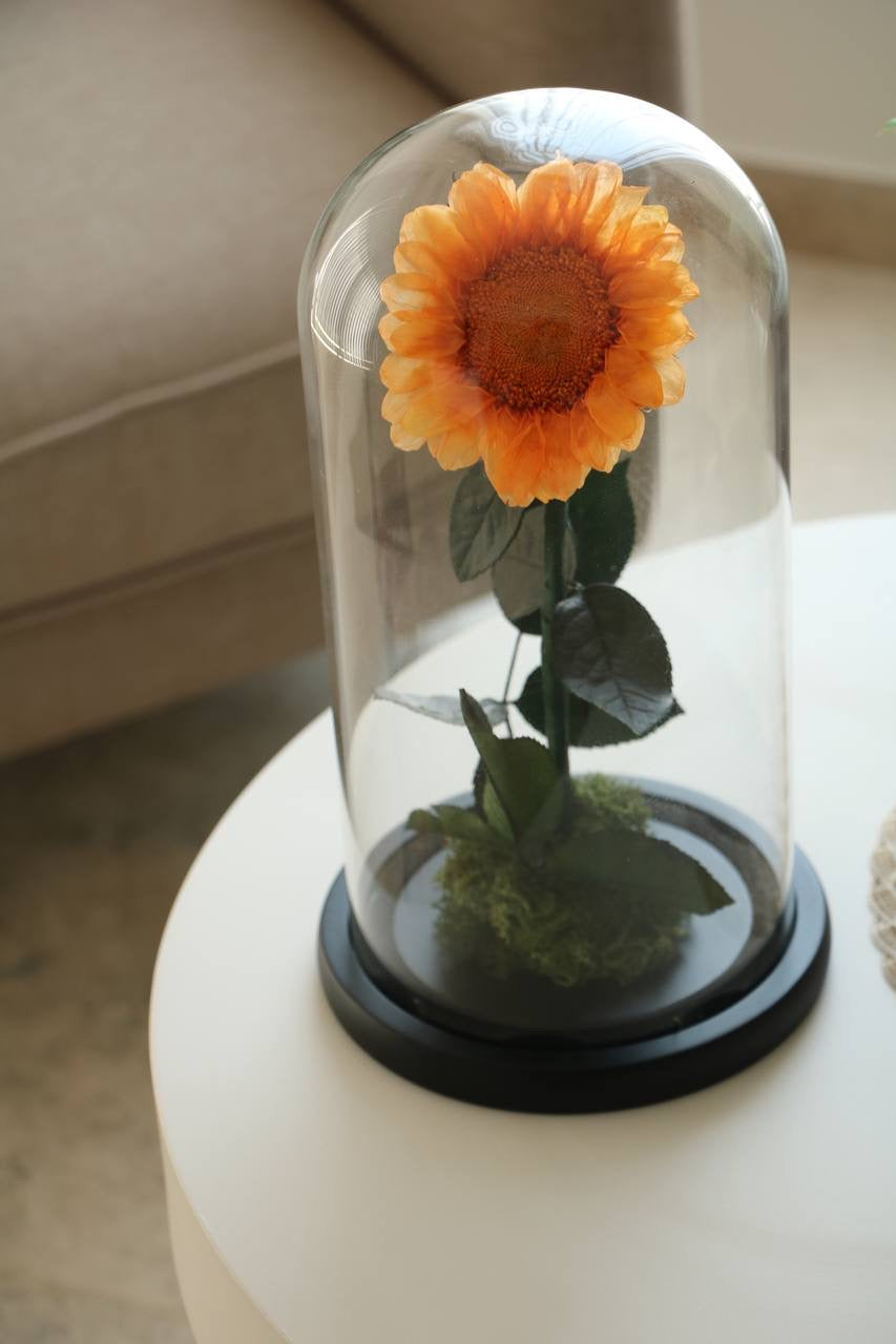 Florever Lasting Sunflower