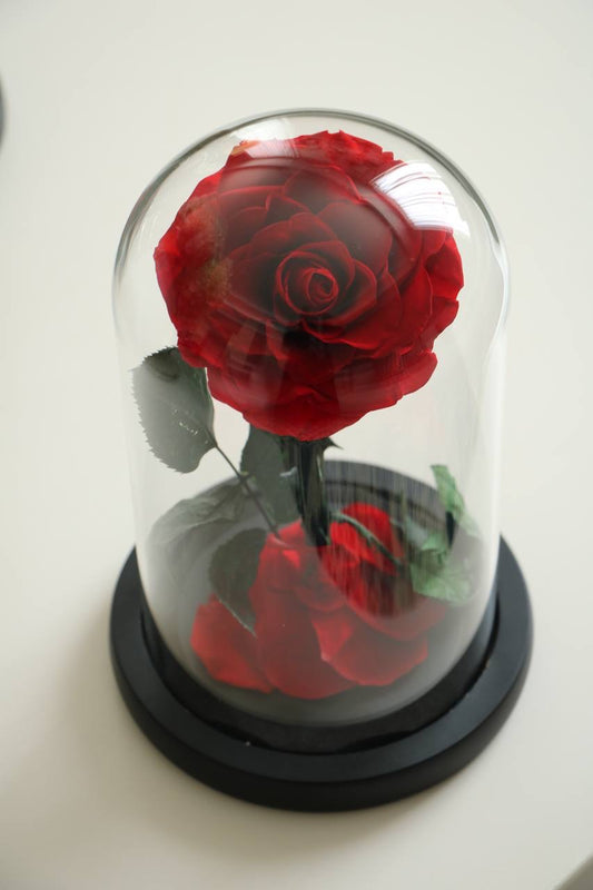 Florever rose Mini - Vermilion red