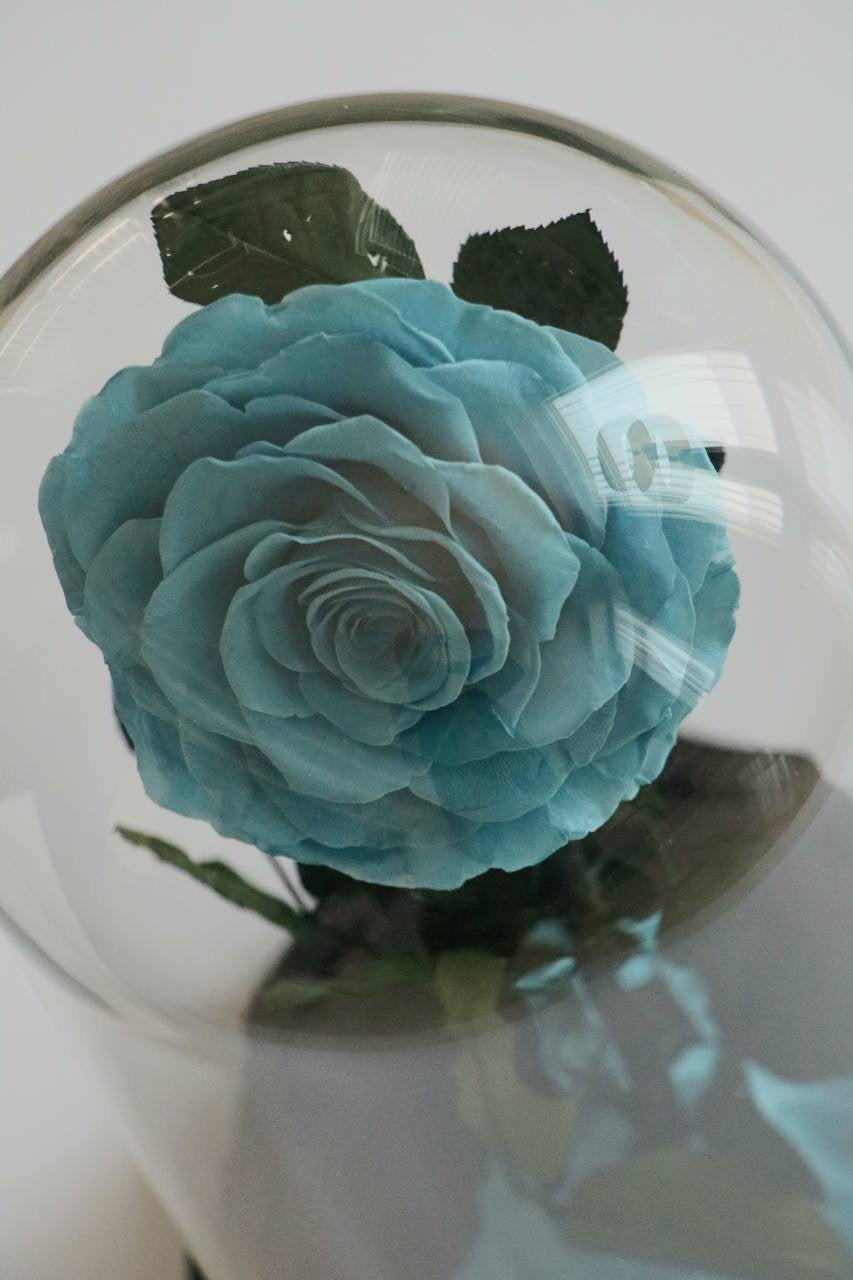 Florever lasting flower dusty blue