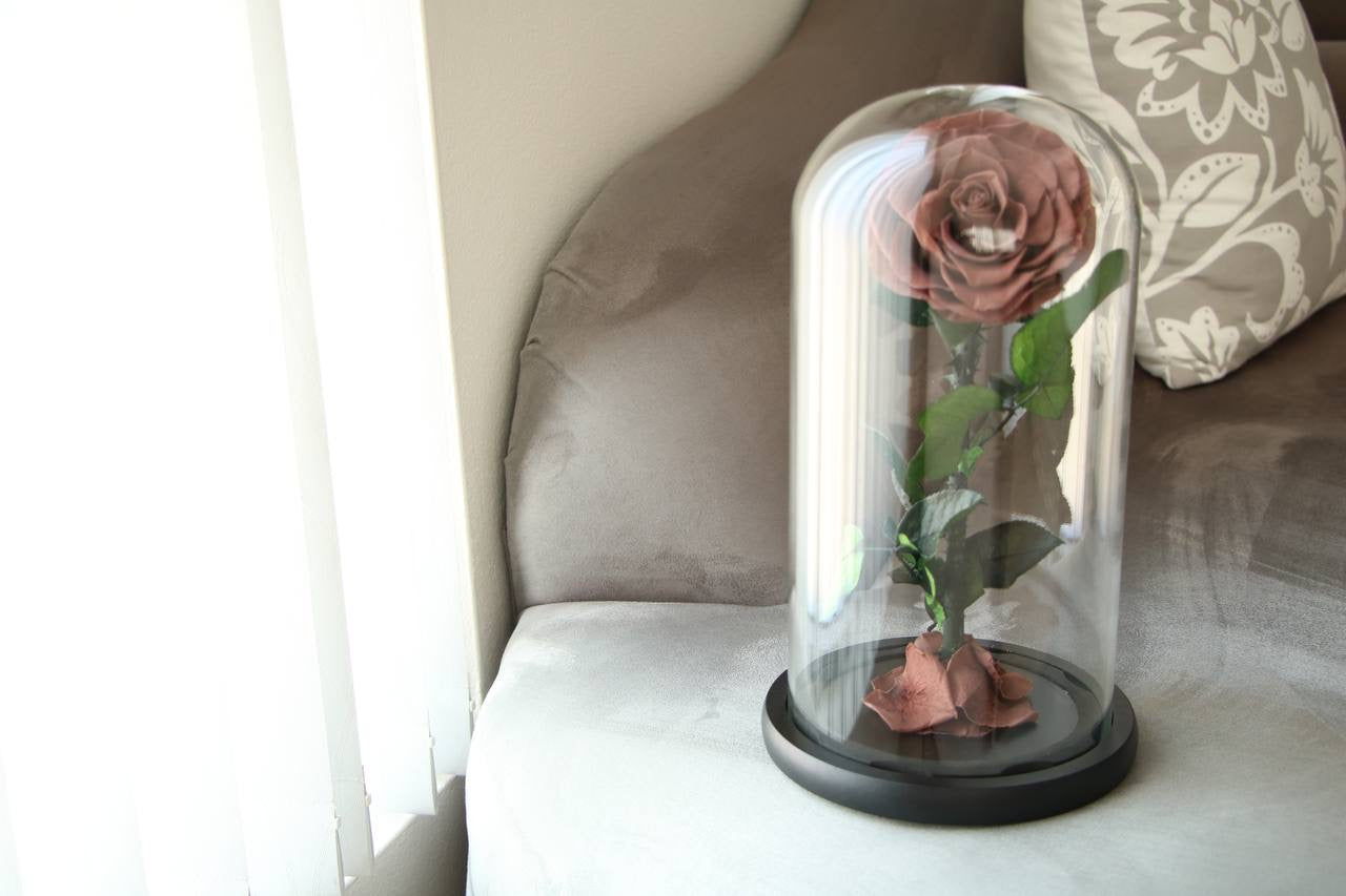 Florever lasting Rose- Smoke