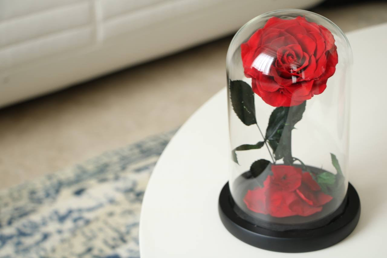 Florever rose Mini - Vermilion red