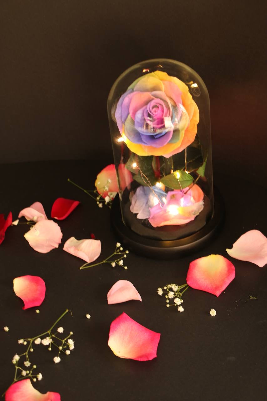 Rainbow flower led