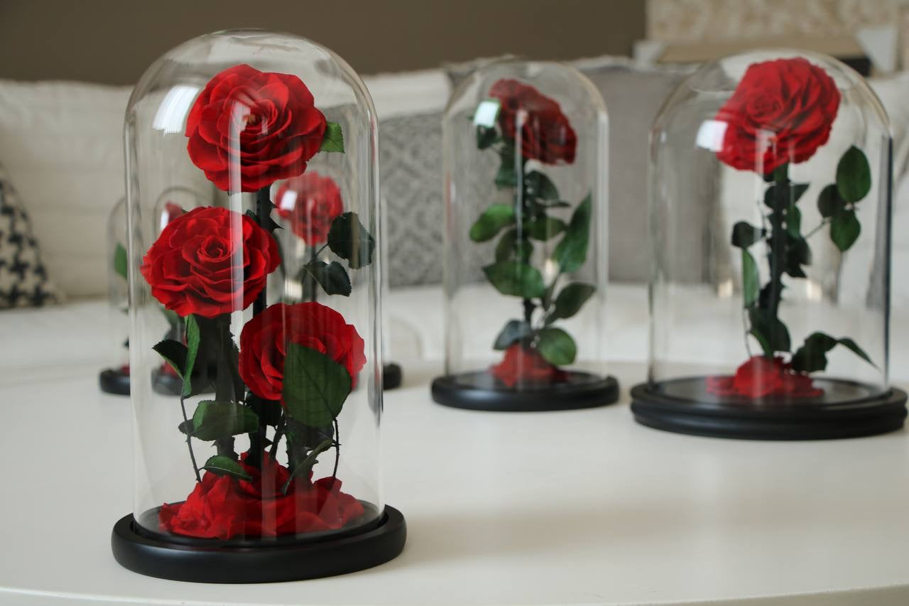 Florever lasting rose triple -Red