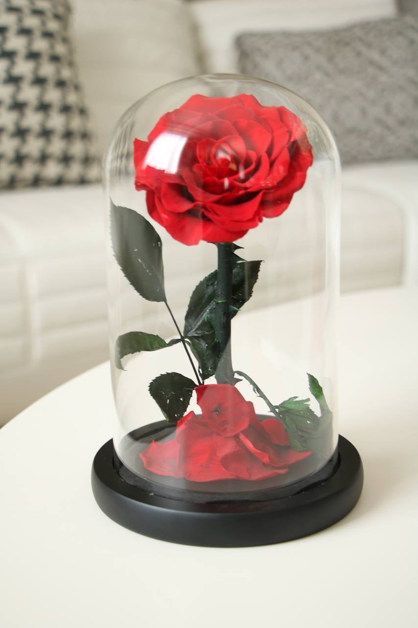 Florever Lasting Rose -Red