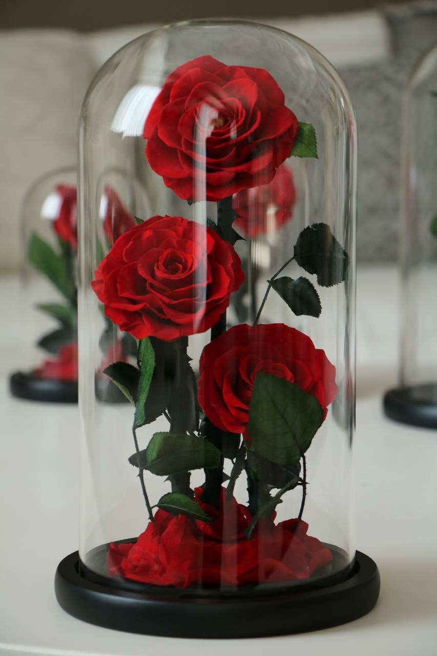 Florever lasting rose triple -Red