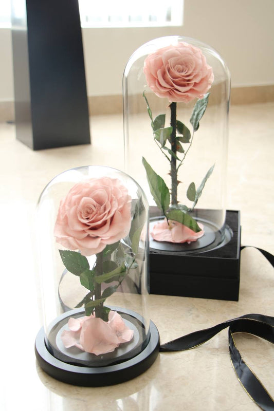 Light pink mini
