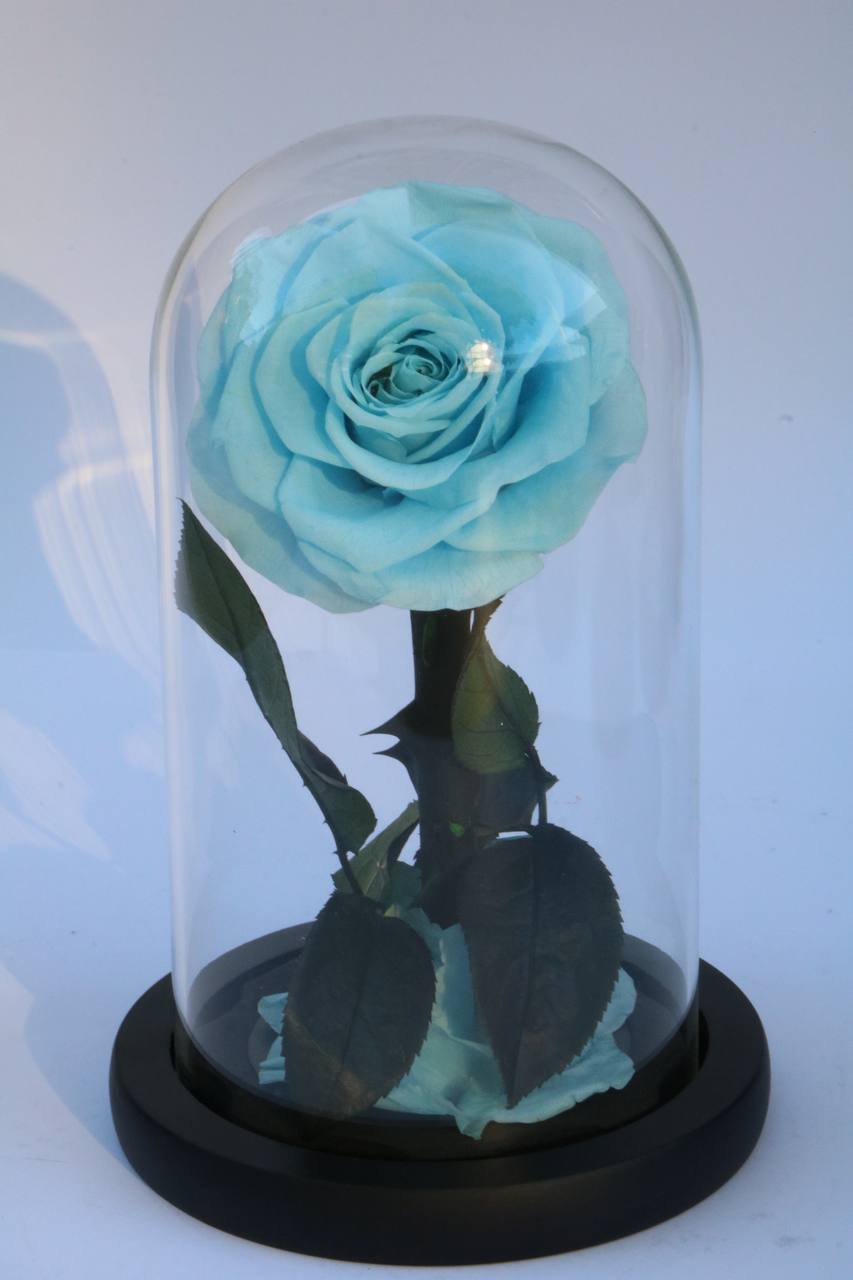 Sky blue mini