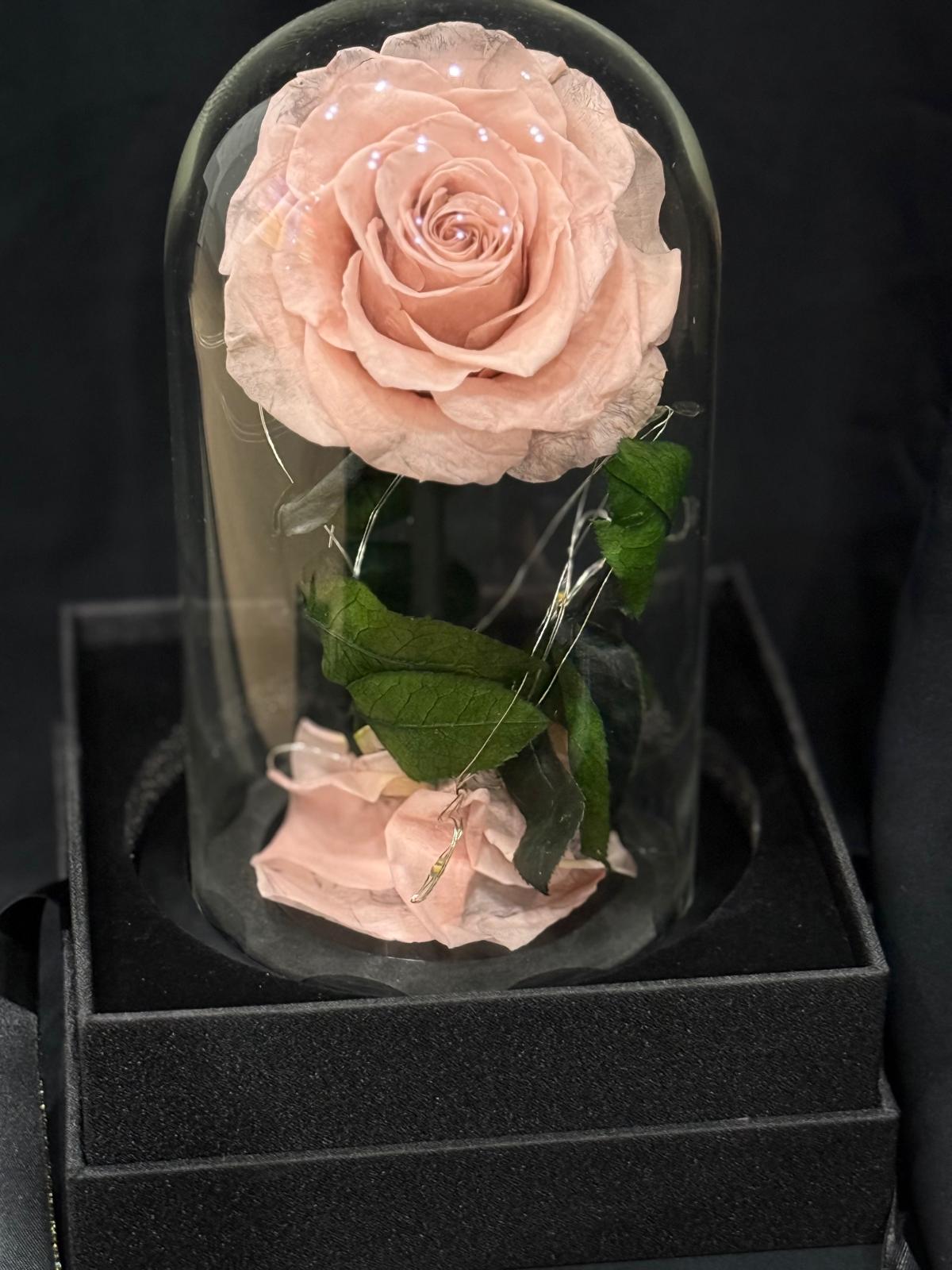 Florever Rose Dome- Mini
