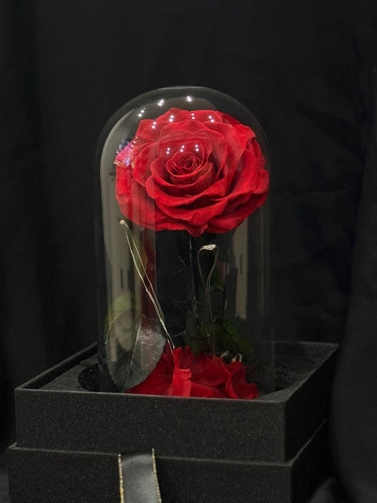 Florever Rose Dome- Mini
