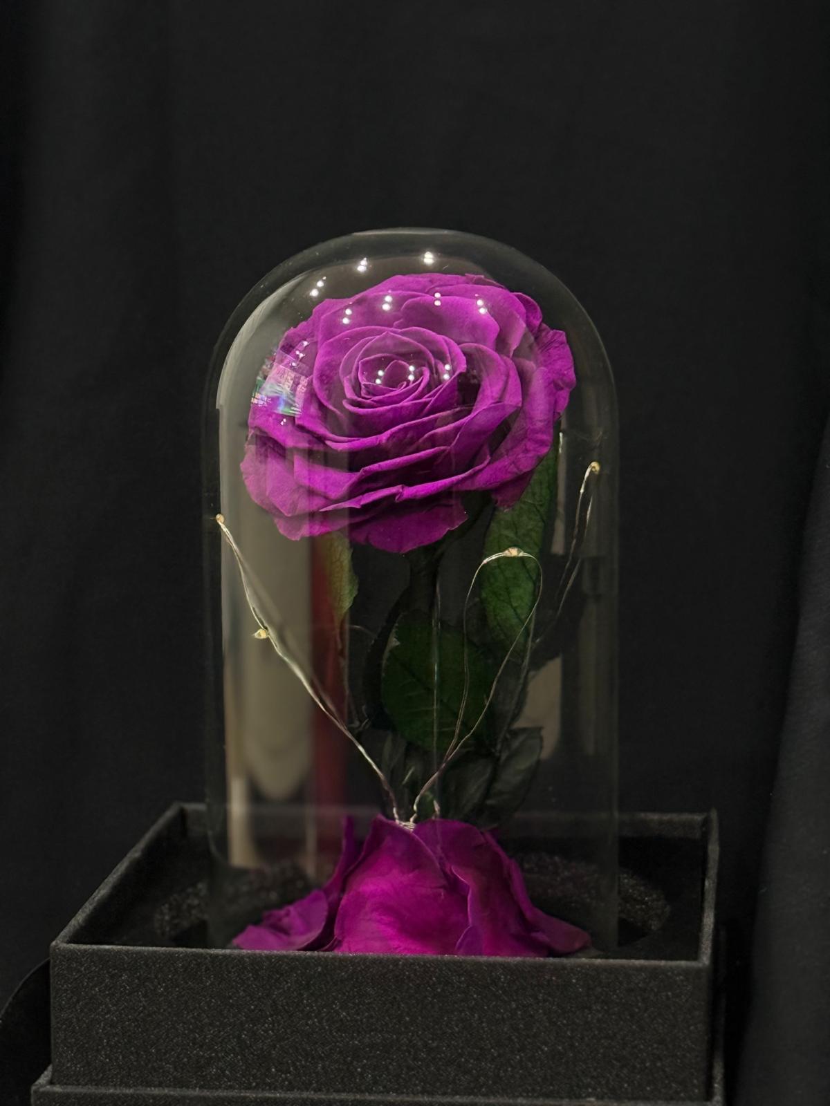 Florever Rose Dome- Mini