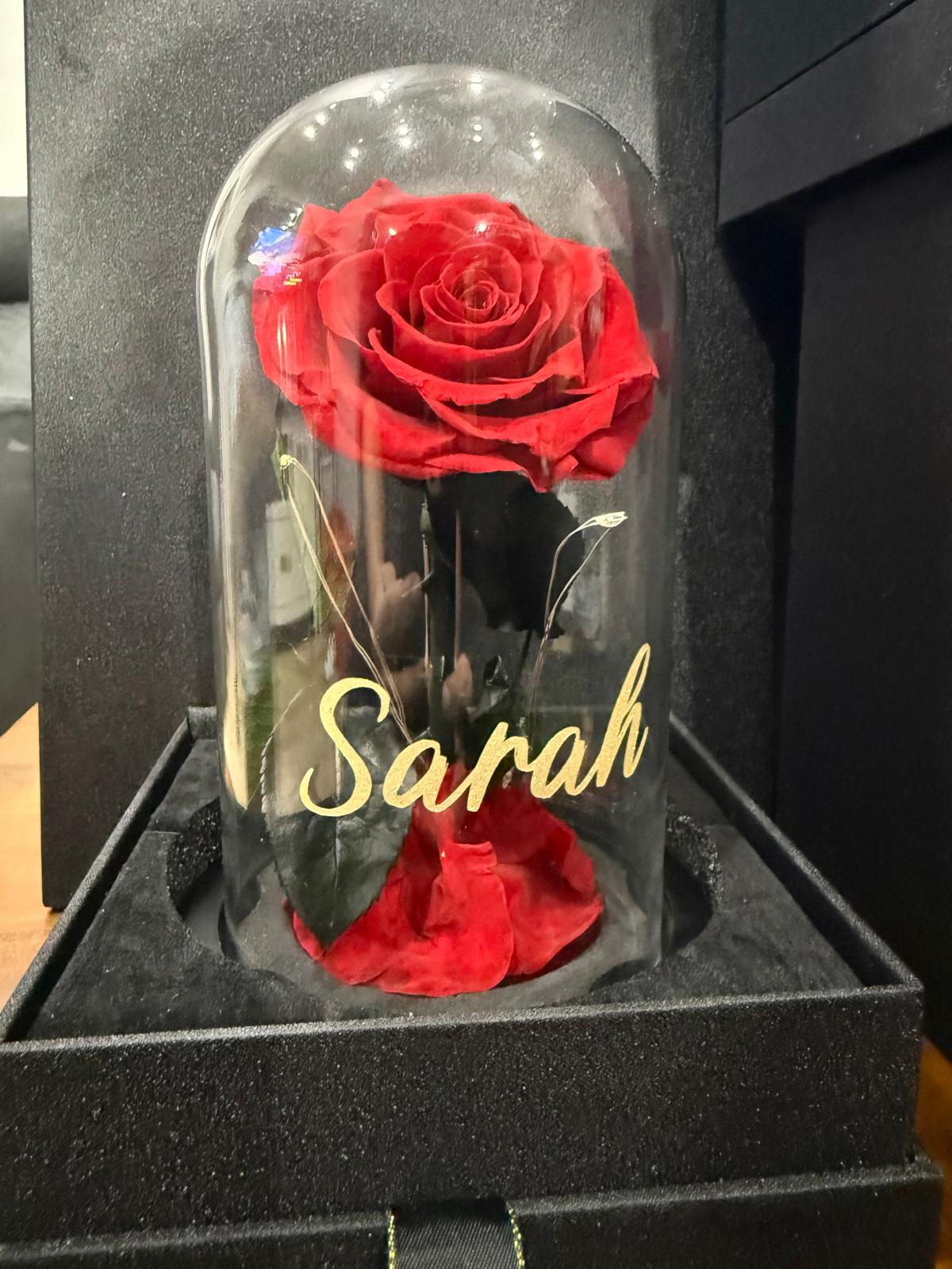 Valentines Day Bundle