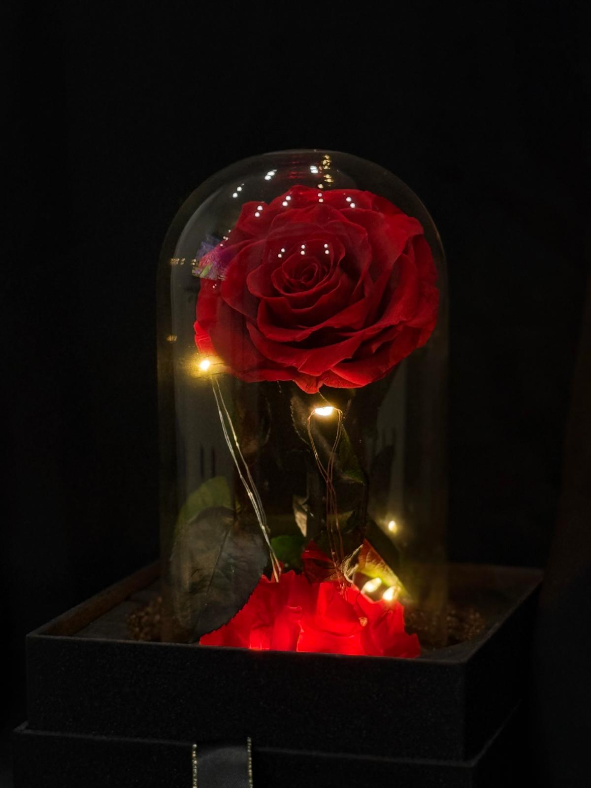 With LED